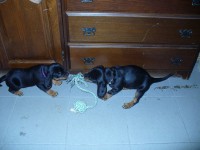 /album/stenata-2012/p1010362-sily-jsou-vyrovnane-jpg/